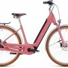 E-Bike City-Trekking Cube Ella Cruise 500
